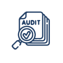 Audit Report Icon